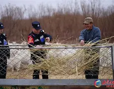 星空娱乐-天津飞船击败内蒙古猎手队,取得胜利了吗